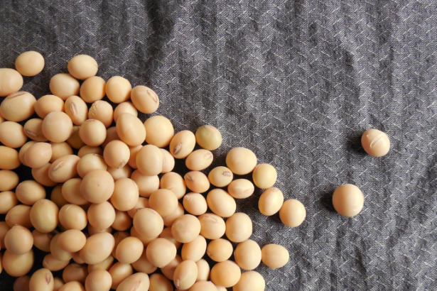 Agenor Vicente Pelissa