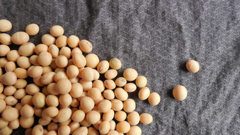 Agenor Vicente Pelissa