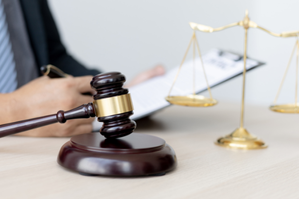 Bruno Garcia Redondo