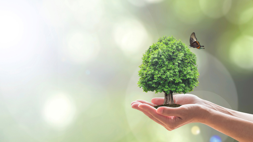 Para Diohn do Prado, a responsabilidade ambiental nasce da ação conjunta: pequenas atitudes somadas impulsionam grandes transformações.